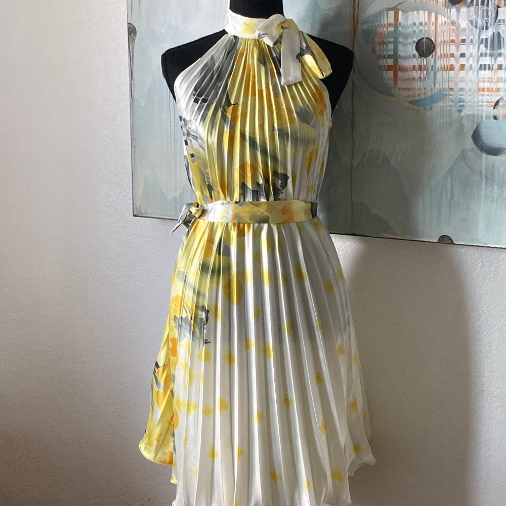 Shimmery Vintage Pleated Dress